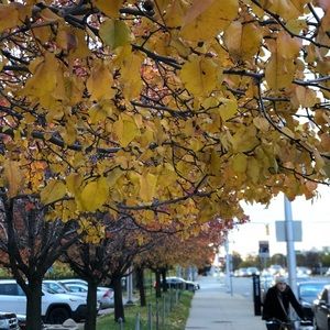 Meet your Posher, Sanjay